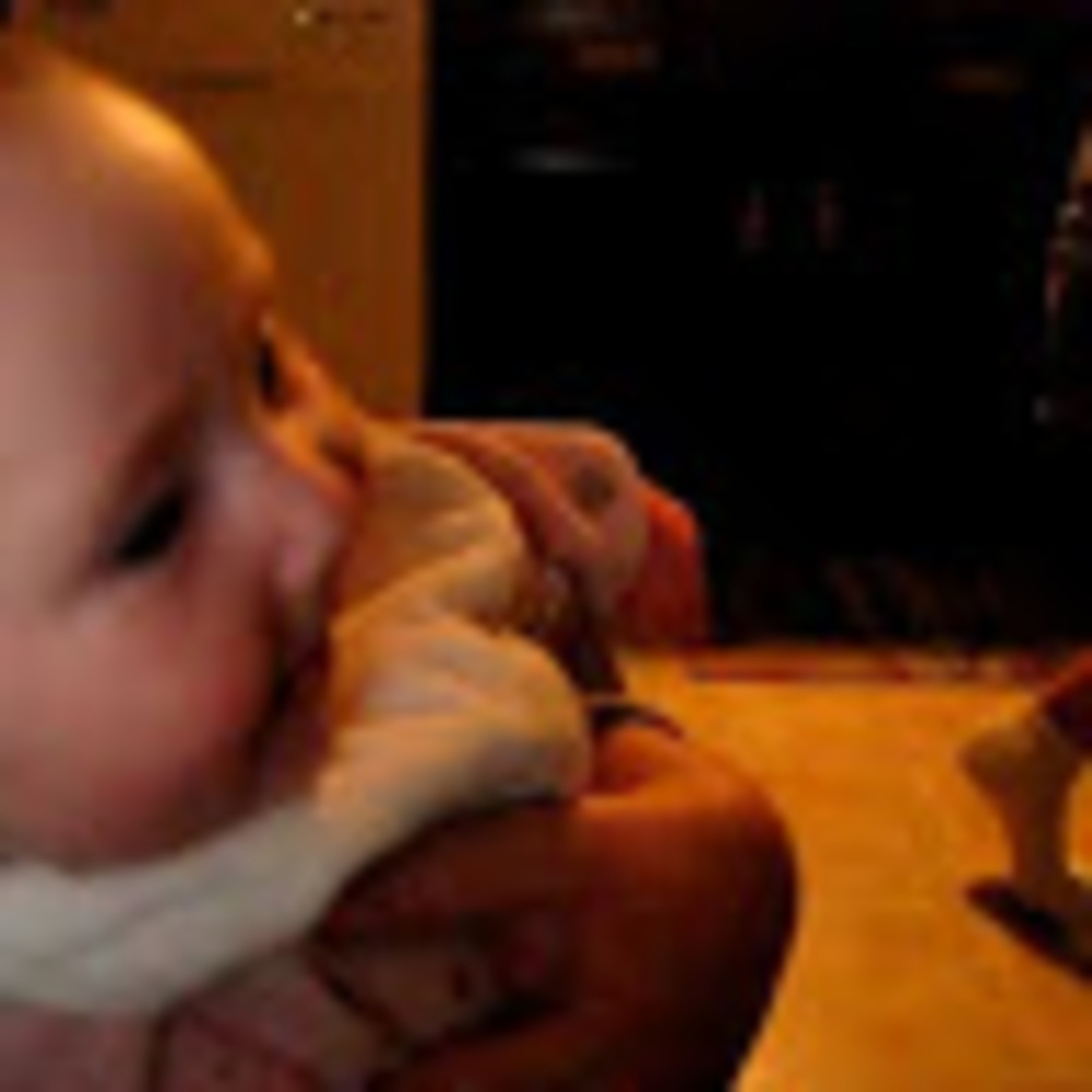 Meet your Posher, Fournomore1030